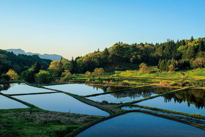 Images of terraced rice-fields