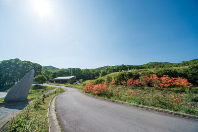 花楽の里（旧山の上庭園）の画像 *前回会場