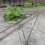 斉藤邦彦 「空き地」 Kunihiko Saito 「vacant land」
