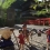 飯野哲心「フィギュア　聖地巡礼：四万温泉　積善館」 Tesshin Iino 「figure pilgrimage:Shima Onsen Sekizenkan」