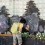 S+N laboratory （榊貴美+西園政史） 「伝言板プロジェクト in 中之条駅」 Kimi Sakaki + Masashi Nishizono / Message Board Project in Nakanojo Station