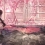 神田さおり 「おんせんにんぎょの湯」 Saori Kanda / The tale of the "Hot spring Mermaids"