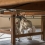 大橋博 「Under the table」 Hiroshi Ohashi