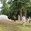 NAKANOJO BIENNALE 2015