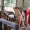 パフォーマンス：杉山佳乃子　Performance: Kanoko Sugiyama　ヒグマ春夫 「農の精神と農具の魂」 Haruo Higuma / Spirit and Soul