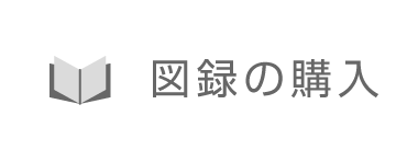 図録の購入
