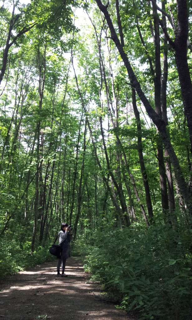 村上友重さん / 通運ビル 中之条ビエンナーレ 国際現代芸術祭 NAKANOJO BIENNALE
