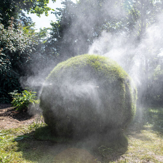 FoggyGrassBall - Digitaler Wald - Darmstadt 2024