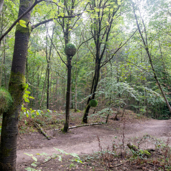 green spheres - forest art path -  Darmstadt 2022