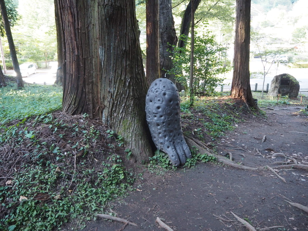 中之条ビエンナーレ 国際現代芸術祭  NAKANOJO BIENNALEARTIST