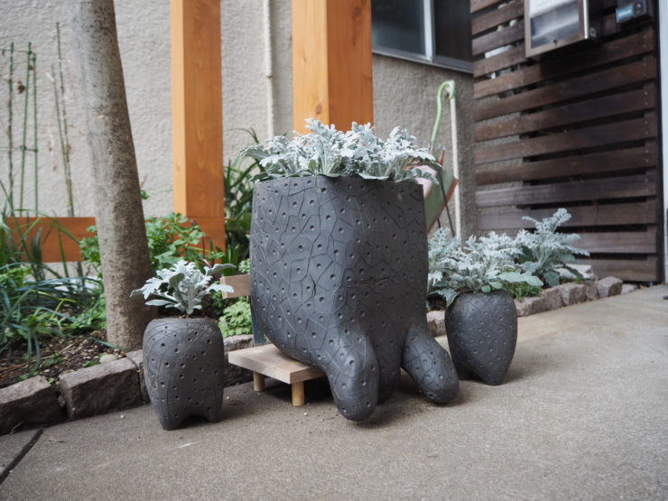 青空教室プロジェクト「鉢ックスター」受け渡し会 | 中之条