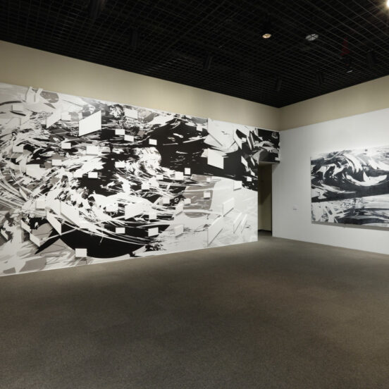 「untitled」（左）インクジェットプリント　変形キャンバス　360.0×866.0㎝　2008<br>
「untitled」（右）油絵具　キャンバス　202.5×357.5㎝　2008<br>
静岡県立美術館での展示風景<br>
撮影： 長塚秀人