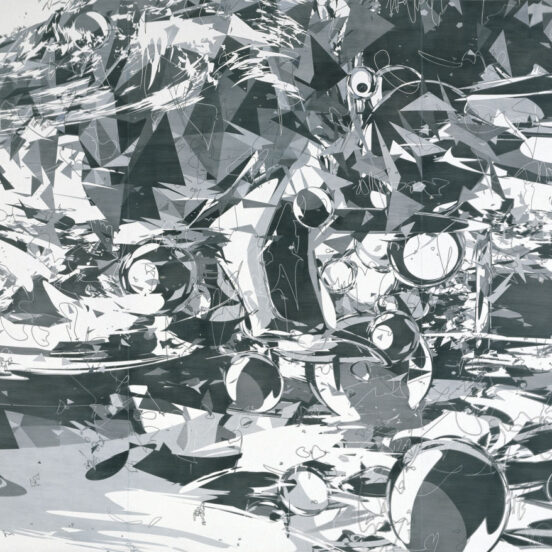 「Untitled (The scenery of the complexity)」
アクリル絵具　キャンバス　250.0×400.0㎝　2009<br>
撮影： 上野則宏